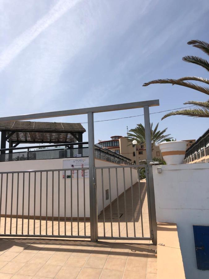 Апартаменты Apartamento La Tortuga Complex Amaya Fuerteventura Коста-де-Антигуа Экстерьер фото